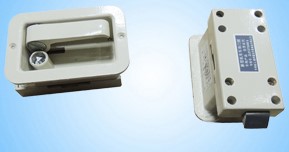 Body door lock ZL01273248-6