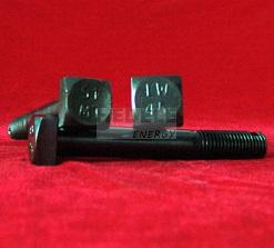 Square head bolt