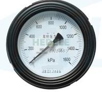 YYS-100Z double needle pressure gauge