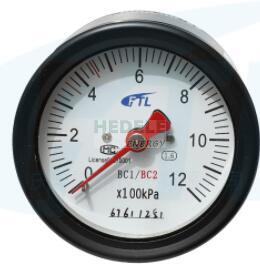 YTS-80Z double needle pressure gauge