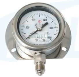 YN60T Shock Resistant Pressure Gauge