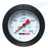 YS-100Z double needle pressure gauge-1600KPa