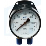 YCS100 double needle pressure gauge