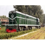 DF5B Diesel-electric Locomotive105